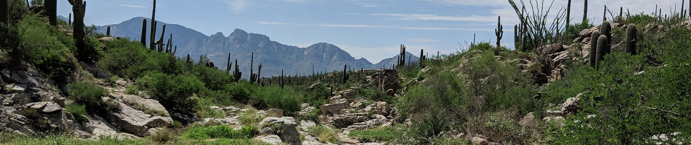 Oro Valley Az County