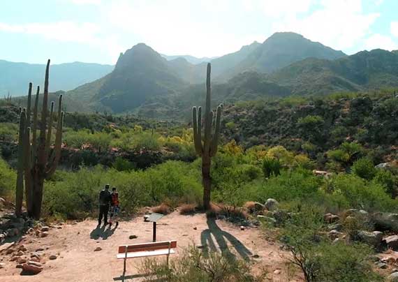 Oro Valley Az Map