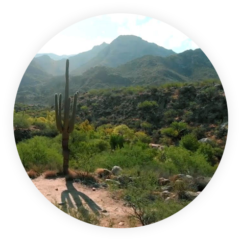 Oro Valley Location