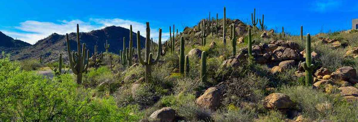 Oro Valley Attraction